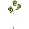 Clayre & Eef 5PL0166GR Decoración Rama con Flores Verde 12x8x80 cm