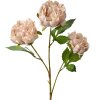 Clayre & Eef 5PL0166P Rama decorativa con flores rosas 12x8x80 cm