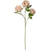 Clayre & Eef 5PL0166P Rama decorativa con flores rosas 12x8x80 cm