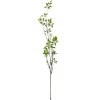 Clayre & Eef 5PL0181GR Rama Decorativa Marrón Verde 18x5x116 cm Plástico