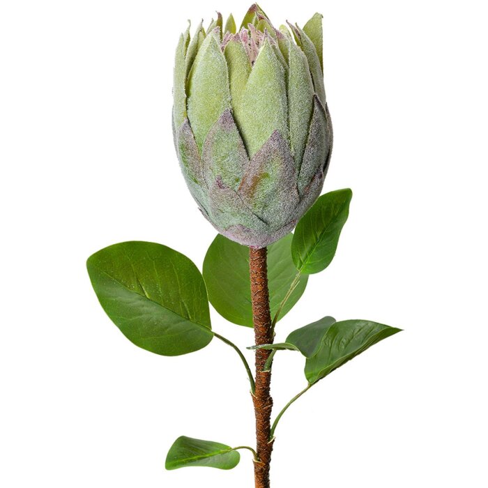 Clayre & Eef Flor artificial 6PL0389GR Protea verde 65 cm Plástico