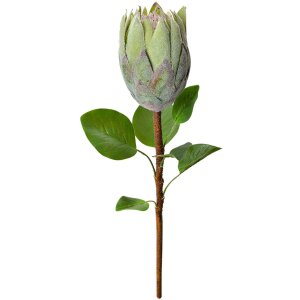 Clayre & Eef Flor artificial 6PL0389GR Protea verde...