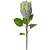 Clayre & Eef Flor artificial 6PL0389GR Protea verde 65 cm Plástico