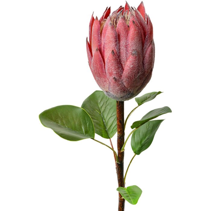 Clayre & Eef 6PL0389P Flor artificial Protea rosa 65cm