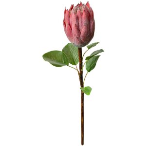Clayre & Eef 6PL0389P Flor artificial Protea rosa 65cm
