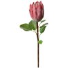 Clayre & Eef 6PL0389P Flor artificial Protea rosa 65cm