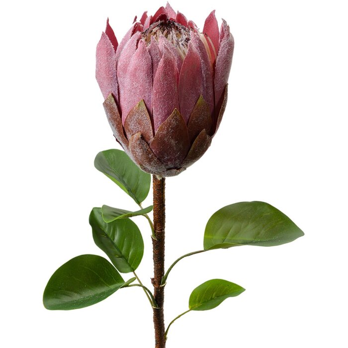 Clayre & Eef 6PL0389PA Flor artificial Violeta 65 cm
