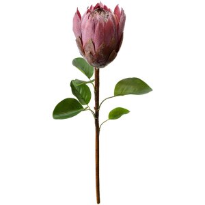 Clayre & Eef 6PL0389PA Flor artificial Violeta 65 cm