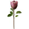 Clayre & Eef 6PL0389PA Flor artificial Violeta 65 cm