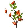 Clayre & Eef Rama Decorativa Rosa Mosqueta Naranja-Verde 10x8x50 cm