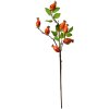 Clayre & Eef Rama Decorativa Rosa Mosqueta Naranja-Verde 10x8x50 cm