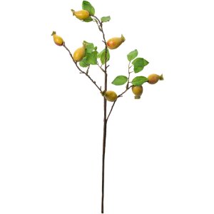 Clayre & Eef rama decorativa fruta amarilla...