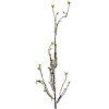 Clayre & Eef 5PL0182 Rama decorativa Marrón Verde 8x5x116 cm