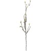 Clayre & Eef 5PL0182 Rama decorativa Marrón Verde 8x5x116 cm