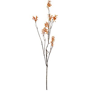 Clayre & Eef 5PL0184 Rama decorativa...