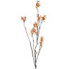 Clayre & Eef 5PL0184 Rama decorativa naranja-marrón 110 cm plástico