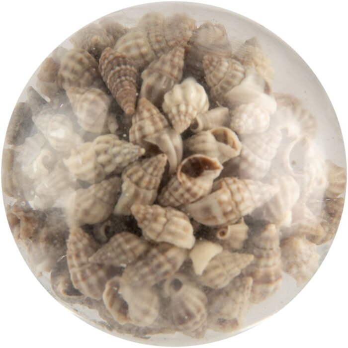 Clayre & Eef pomo puerta cristal concha decoración beige Ø5x4 cm casa de campo náutica