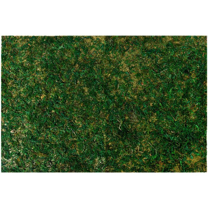 Clayre & Eef 66121 Alfombra de musgo 60x40x1 cm Decoración de plástico verde exuberante