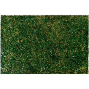 Clayre & Eef 66121 Alfombra de musgo 60x40x1 cm...