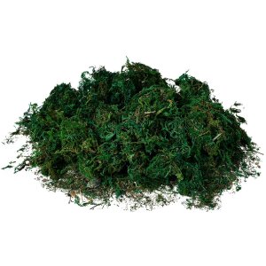 Clayre & Eef 66109 Alfombra Musgo Verde 40x30x1 cm...