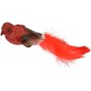 Clayre & Eef 66138 Decoración Pájaro Set de 2 Rojo Marrón 16x5x5 cm Plástico