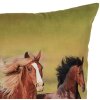 Clayre & Eef KT021.418 Funda de Cojín 45x45 cm Caballos Salvajes Natural Verde Marrón