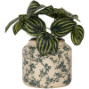 Clayre & Eef Maceta Beige-Verde Ø16x15cm Cerámica Estilo Campestre Vintage
