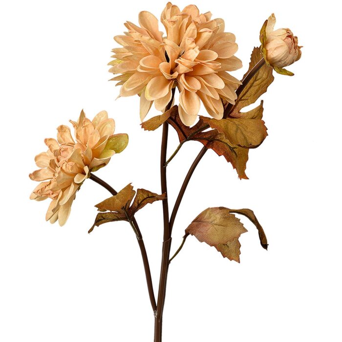 Clayre & Eef 6PL0387BE Flor artificial Beige Marrón 10x10x66 cm