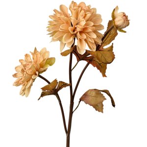 Clayre & Eef 6PL0387BE Flor artificial Beige Marrón 10x10x66 cm