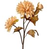 Clayre & Eef 6PL0387BE Flor artificial Beige Marrón 10x10x66 cm