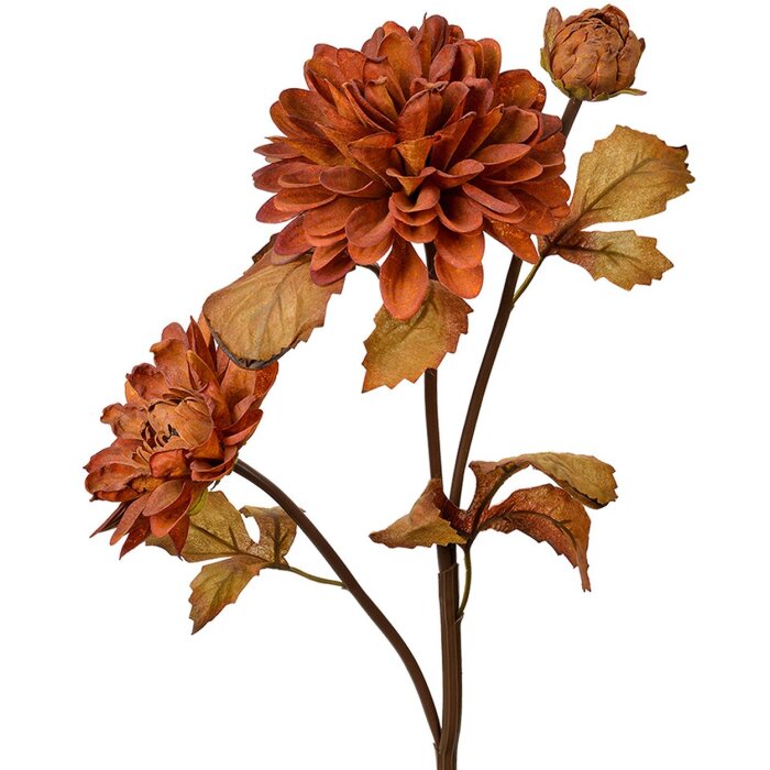 Clayre & Eef 6PL0387CH Flor artificial Marrón 66 cm