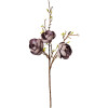 Clayre & Eef 5PL0169BL Rama decorativa púrpura marrón 106 cm Plástico