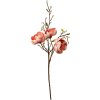 Clayre & Eef Rama Decorativa con Flores Rosa Marrón 106 cm Plástico