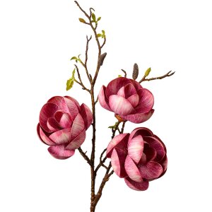 Clayre & Eef 5PL0169PA Rama Decorativa Rosa...