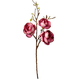Clayre & Eef 5PL0169PA Rama Decorativa Rosa...