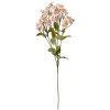 Clayre & Eef Ramo Decorativo Flores Beige Verde 8x8x63 cm Plástico
