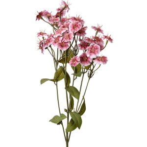 Clayre & Eef rama decorativa flores rosas 8x8x63 cm...