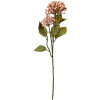 Clayre & Eef 6PL0386P Flor artificial Rosa Verde 8x7x53 cm Plástico