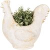 Clayre & Eef 6MG0115 Decoración Maceta Beige Marrón 36x18x35 cm