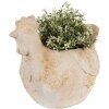 Clayre & Eef 6MG0108 Decoración Macetero Beige Marrón 31x20x27 cm Estilo rústico