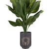 Clayre & Eef 6MG0109 Decoración maceta motivo ciervo gris-beige Ø 23x31 cm