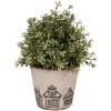 Clayre & Eef 6CE2123S Maceta Cerámica Estilo Campestre Beige Negro Ø 12x11 cm