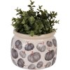 Clayre & Eef 6CECSP0001L Maceta Cerámica Beige Gris Ø 20x15 cm Estilo Campestre