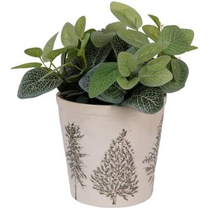 Clayre & Eef 6CETKG0001M Decoración Maceta Beige Verde Ø 18x16 cm