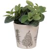 Clayre & Eef 6CETKG0001M Decoración Maceta Beige Verde Ø 18x16 cm
