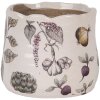 Clayre & Eef 6CETKG0001XS Maceta Cerámica Beige Ø 11x10 cm Estilo Campestre