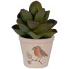 Clayre & Eef Maceta Estilo Campo Ø8x7cm Beige Marrón Cerámica Motivo Floral