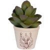Clayre & Eef Macetero decorativo Ø 8x7 cm