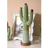 Mauro Ferretti Figura decorativa Cactus Stons 16,5x11x45 cm verde