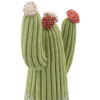 Mauro Ferretti Figura decorativa Cactus Stons 10,5x6,5x20,5 cm verde